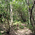 DSC07603.jpg