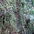 DSC07668.jpg