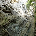 DSC07671.jpg