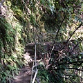 DSC07683.jpg