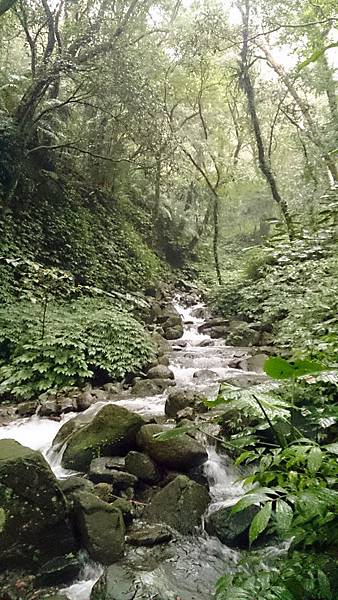 DSC_0920.JPG