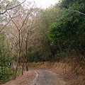 DSC_2978.JPG