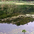 DSC_2990.JPG