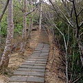 DSC_2998.JPG