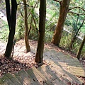 DSC_3016.JPG