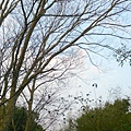 DSC_3035.JPG