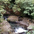 DSC_5474.JPG