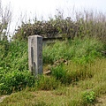 33-DSC_5529.JPG