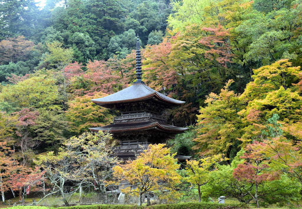 日本京都府 海の京都 4東舞鶴金剛院賞楓健行 J28ah的美景採集錄 痞客邦 日本京都府 海の京都 4東舞鶴金剛院賞楓健行 J28ah的美景採集錄 痞客邦