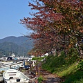 15-DSC_4853.JPG