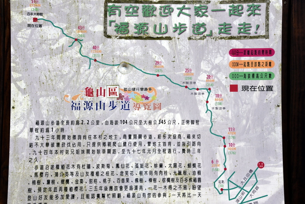 03-DSC_4205.JPG 03-DSC_4205.JPG