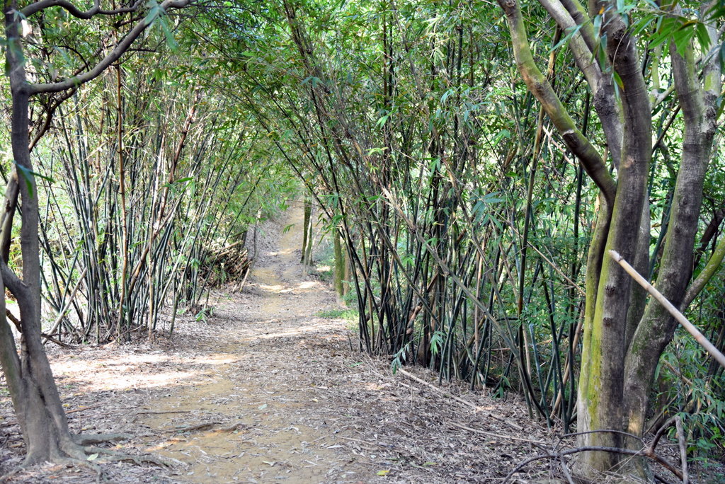 06-DSC_4210.JPG 06-DSC_4210.JPG