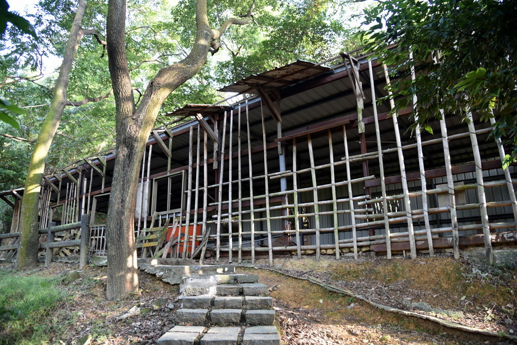 04-DSC_4207.JPG 04-DSC_4207.JPG