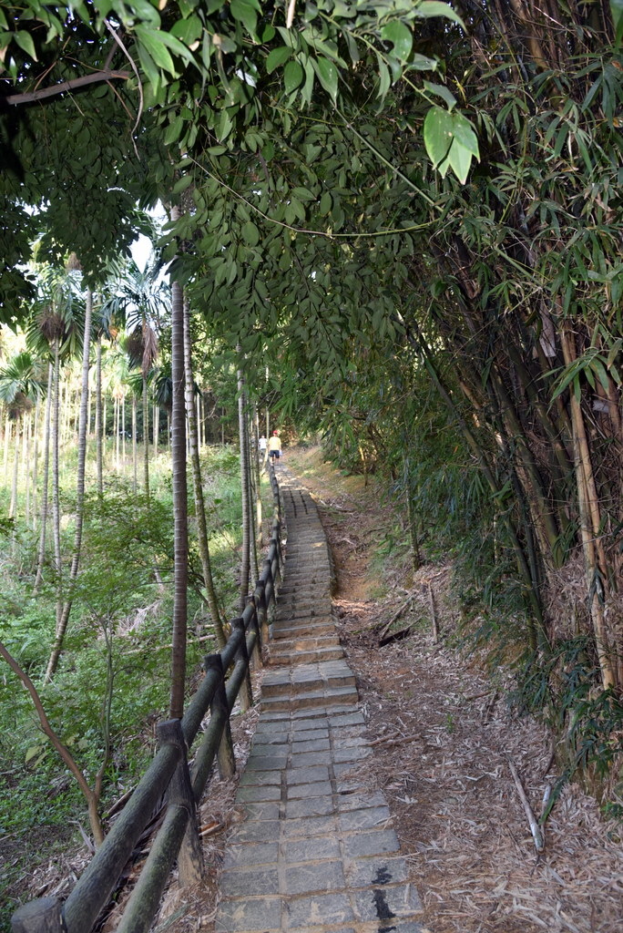 05-DSC_4208.JPG 05-DSC_4208.JPG