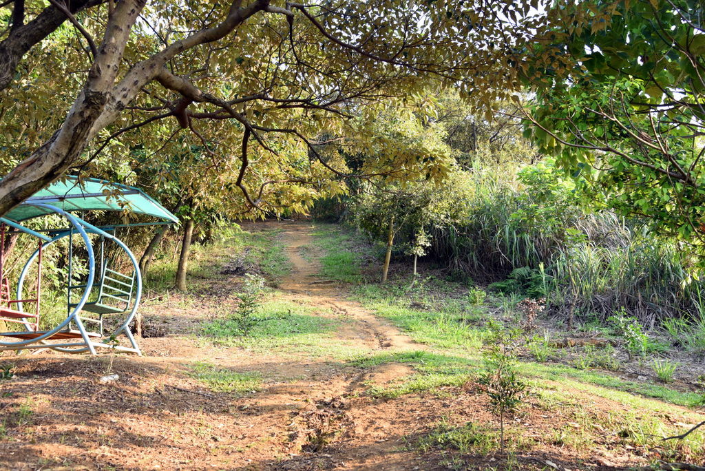 14-DSC_4230.JPG 14-DSC_4230.JPG