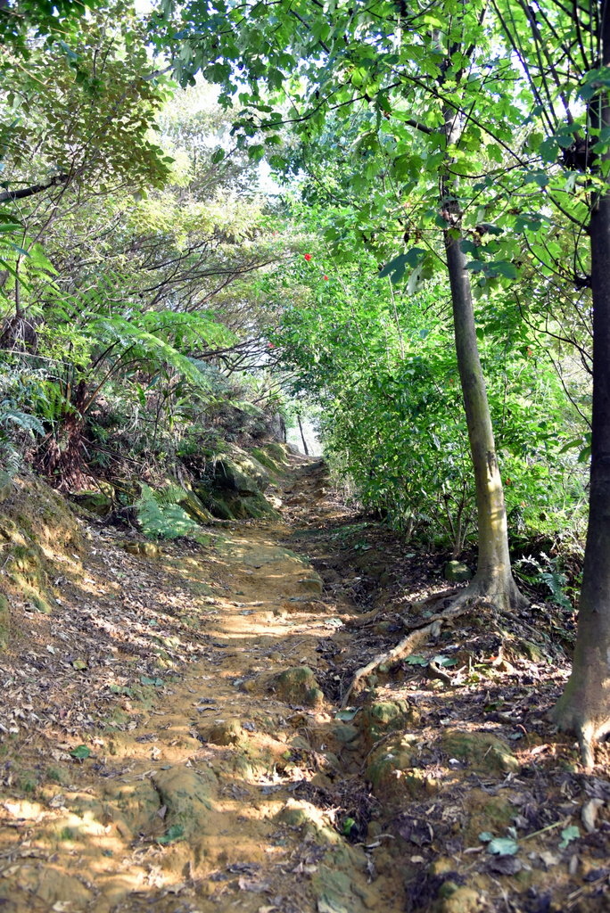 15-DSC_4233.JPG 15-DSC_4233.JPG