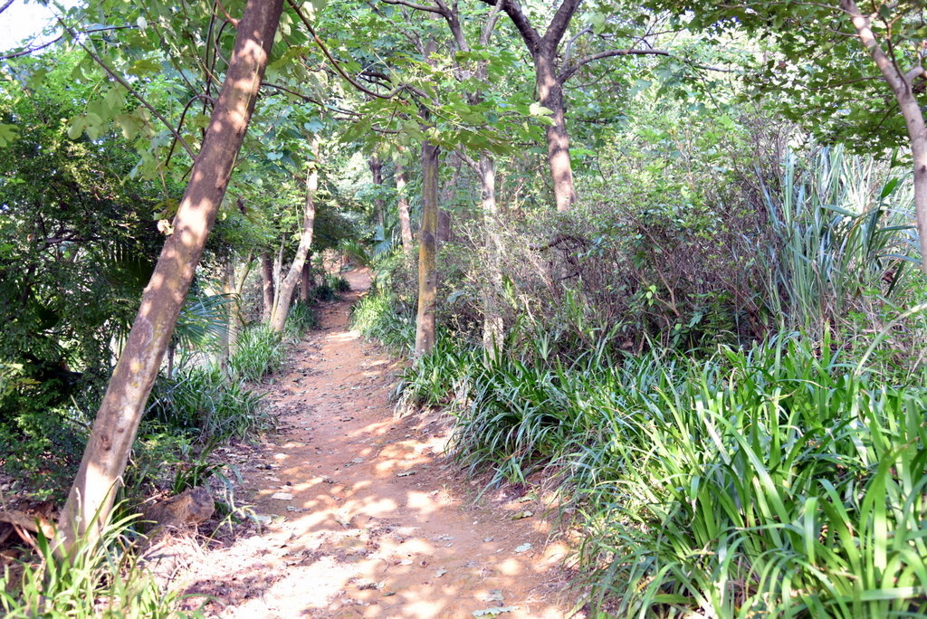 11-DSC_4225.JPG 11-DSC_4225.JPG