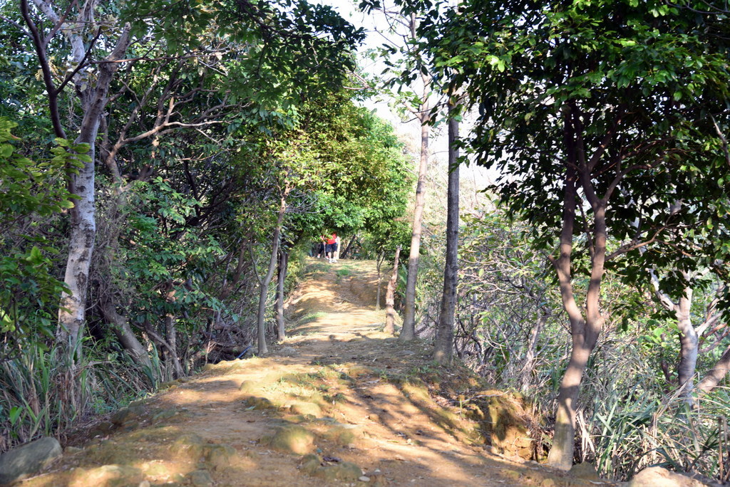 07-DSC_4213.JPG 07-DSC_4213.JPG