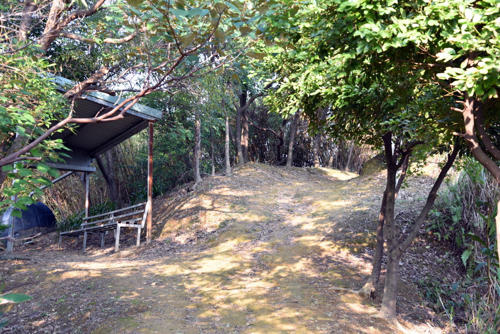 08-DSC_4214.JPG 08-DSC_4214.JPG