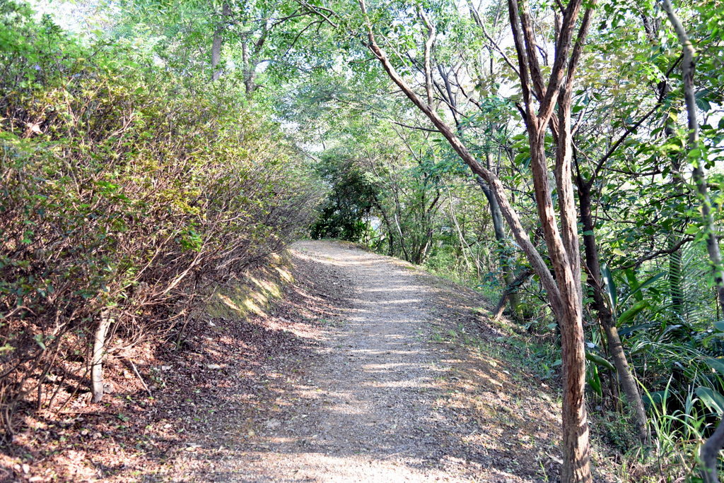 10-DSC_4220.JPG 10-DSC_4220.JPG