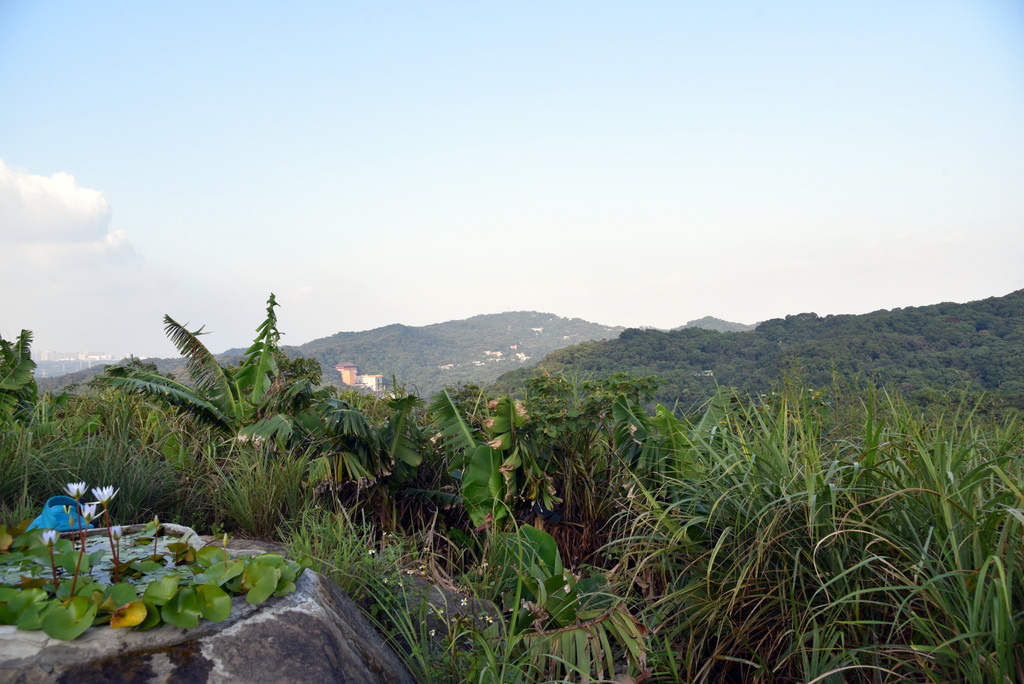 20-DSC_4242.JPG 20-DSC_4242.JPG