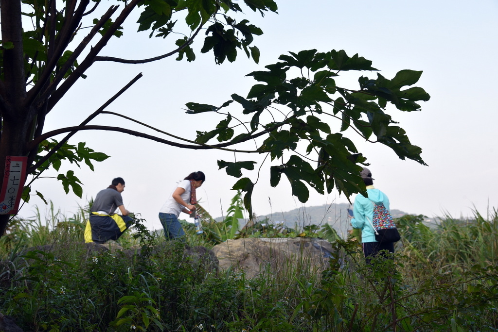 18-DSC_4240.JPG 18-DSC_4240.JPG