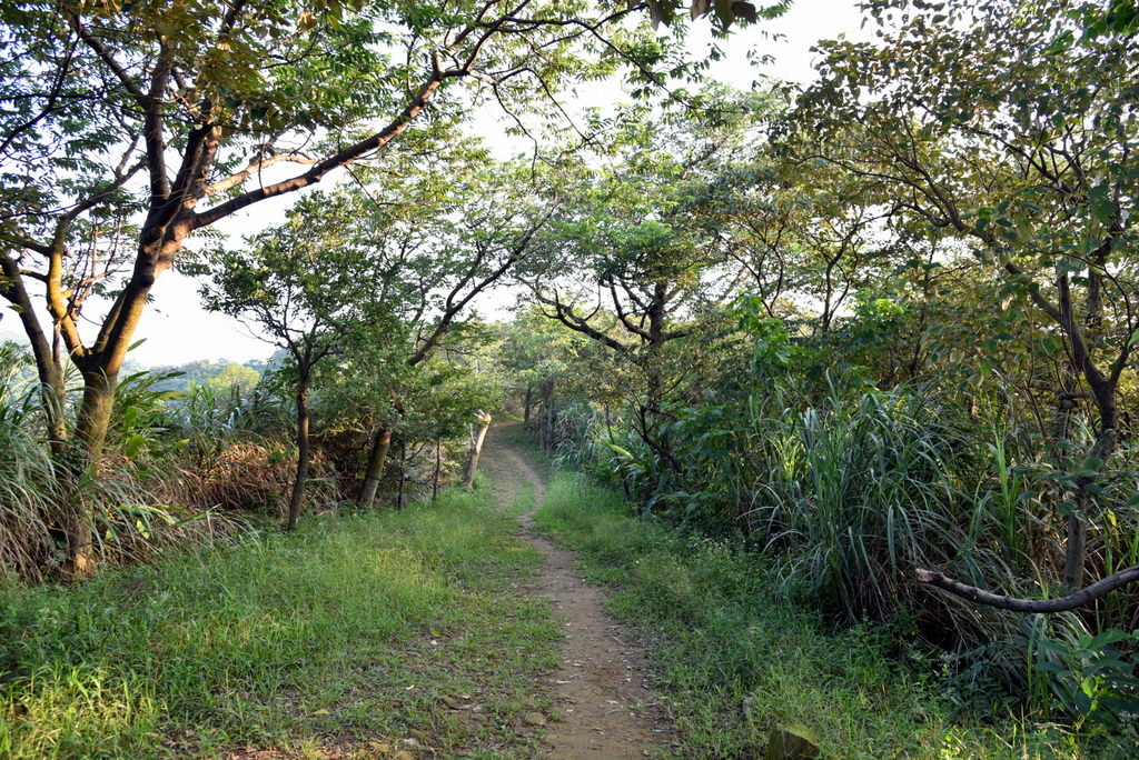 21-DSC_4246.JPG 21-DSC_4246.JPG