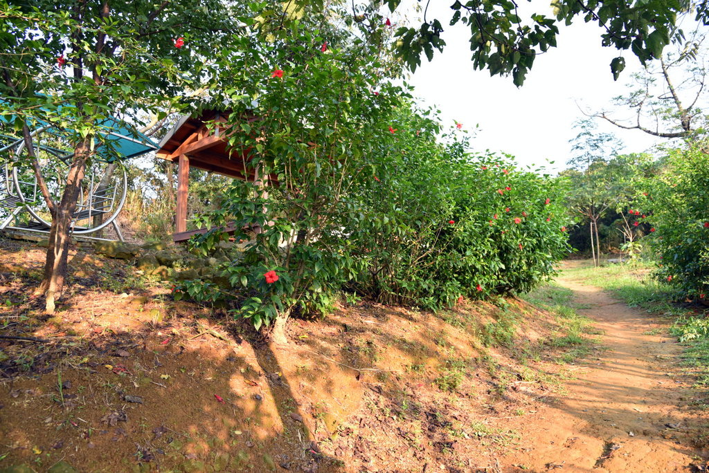 16-DSC_4236.JPG 16-DSC_4236.JPG