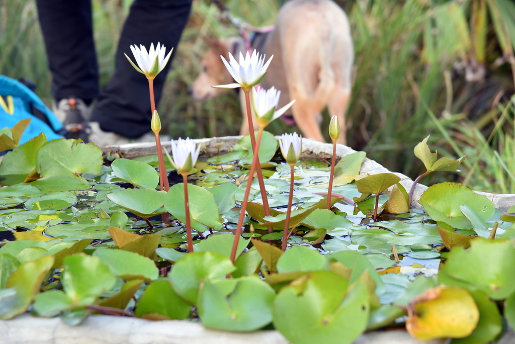 19-DSC_4241.JPG 19-DSC_4241.JPG