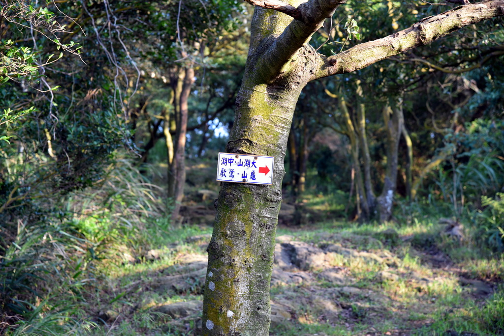 23-DSC_4250.JPG 23-DSC_4250.JPG