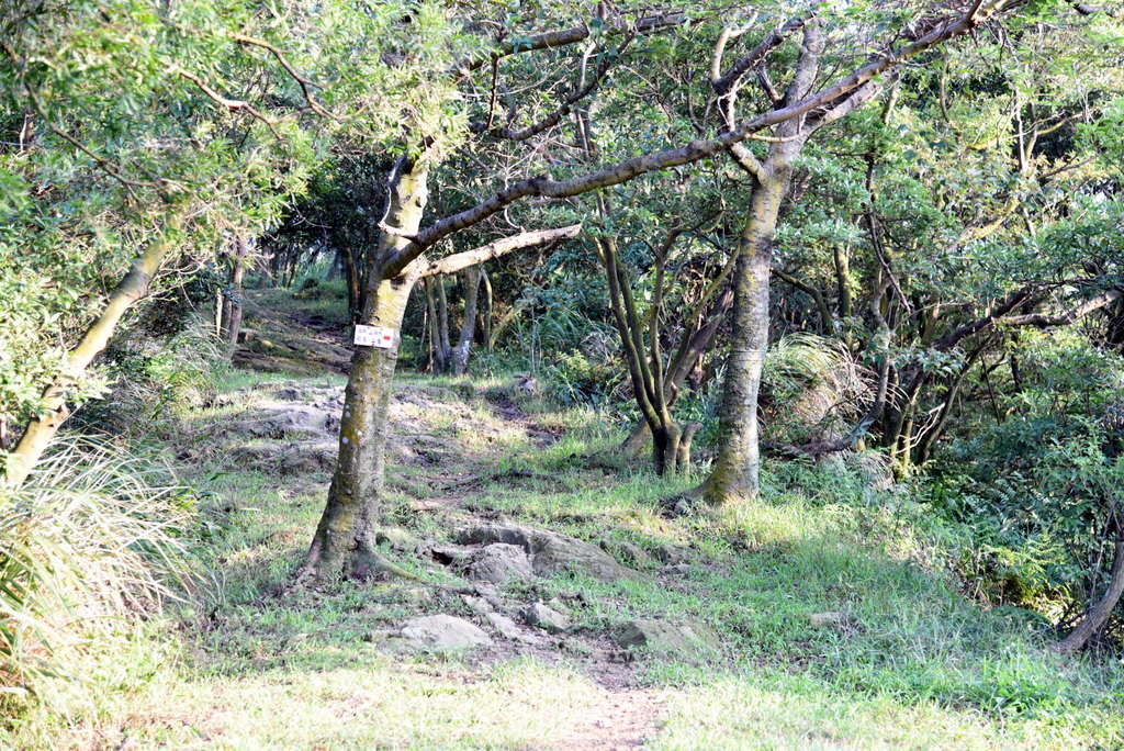 22-DSC_4249.JPG 22-DSC_4249.JPG