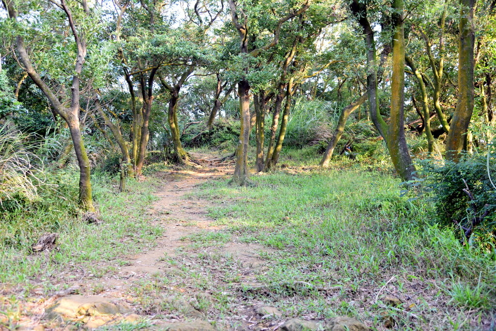 26-DSC_4253.JPG 26-DSC_4253.JPG