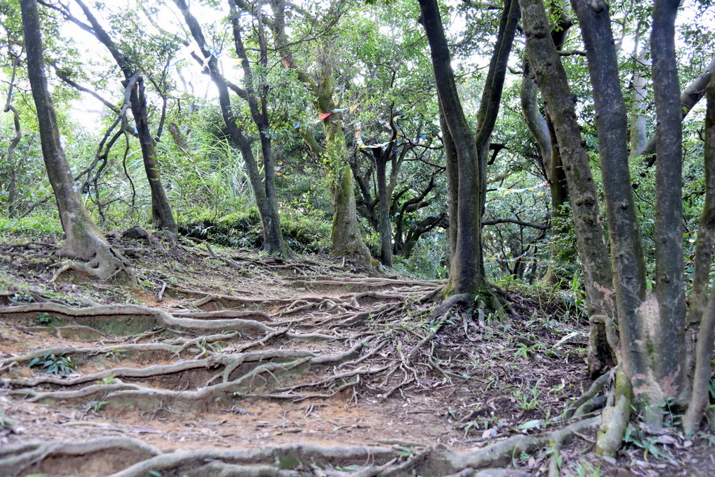 28-DSC_4258.JPG 28-DSC_4258.JPG