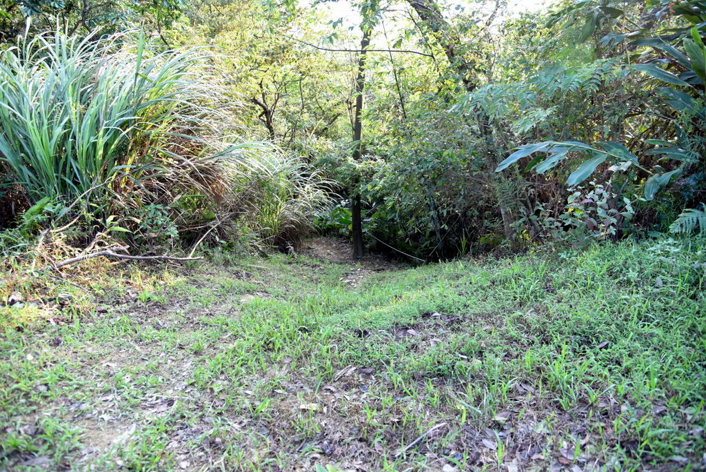 30-DSC_4260.JPG 30-DSC_4260.JPG