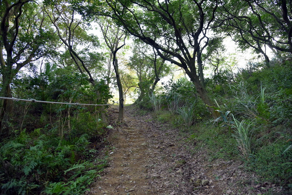 33-DSC_4263.JPG 33-DSC_4263.JPG