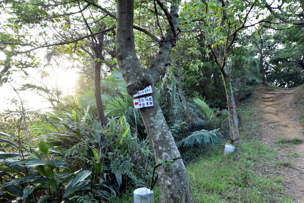 31-DSC_4261.JPG 31-DSC_4261.JPG