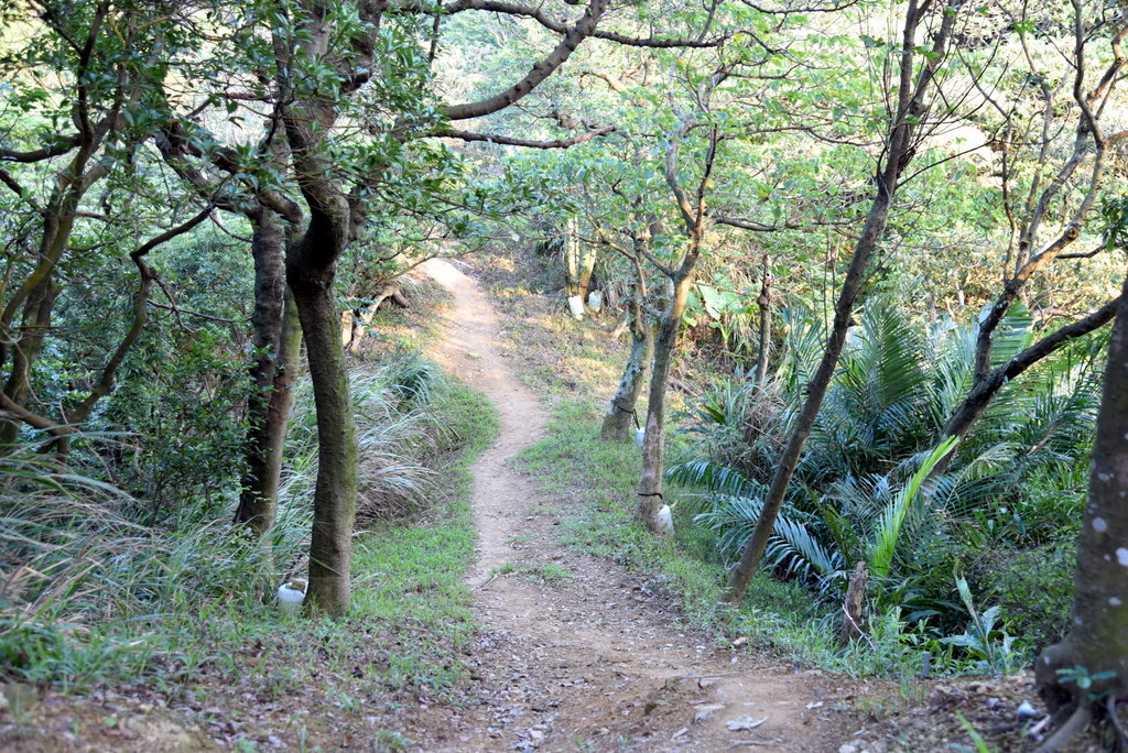 29-DSC_4259.JPG 29-DSC_4259.JPG