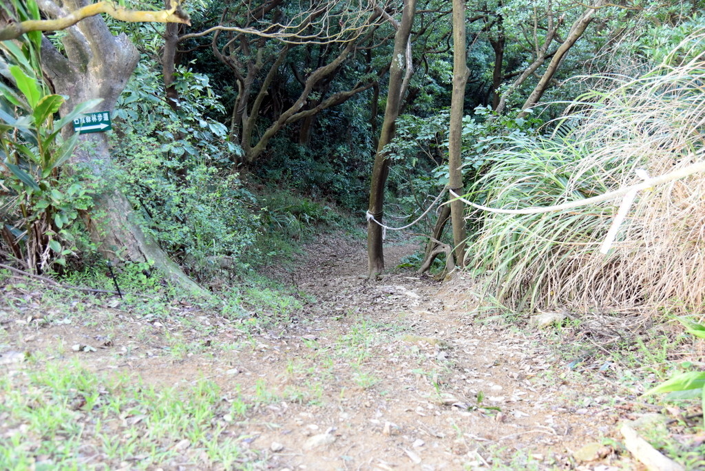 32-DSC_4262.JPG 32-DSC_4262.JPG