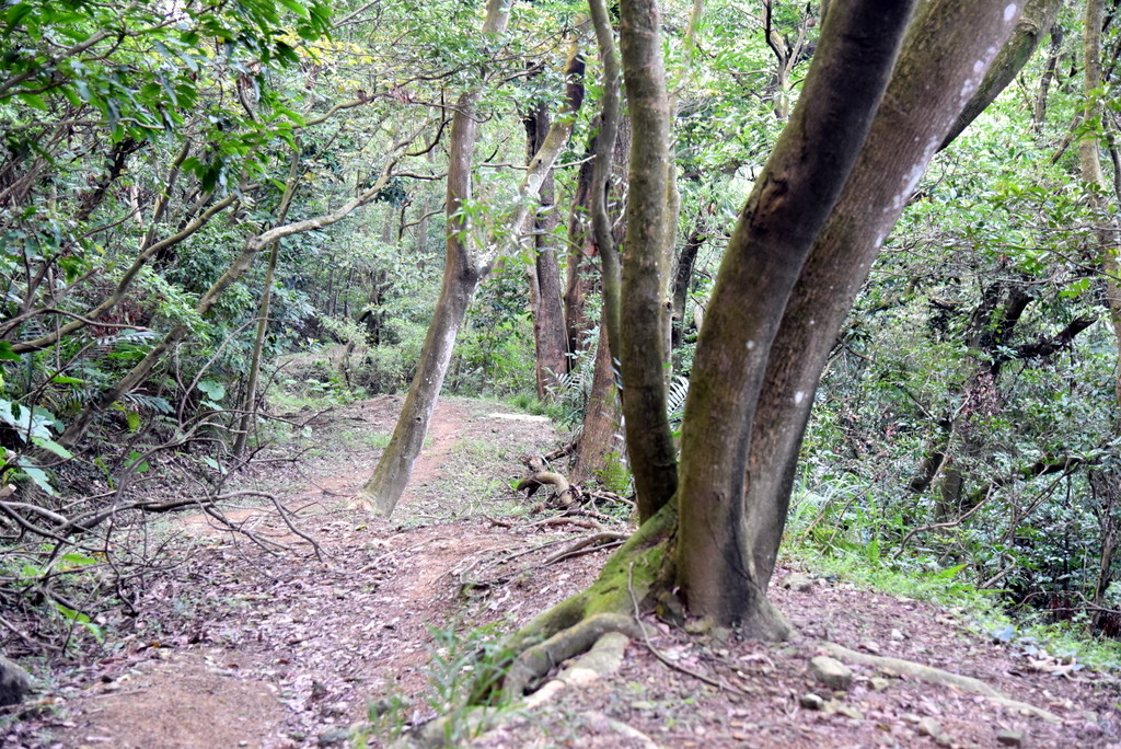 35-DSC_4272.JPG 35-DSC_4272.JPG