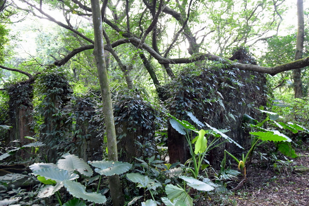 39-DSC_4279.JPG 39-DSC_4279.JPG