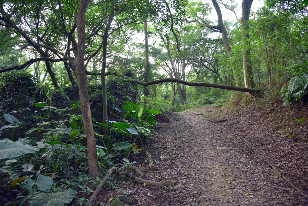 38-DSC_4278.JPG 38-DSC_4278.JPG