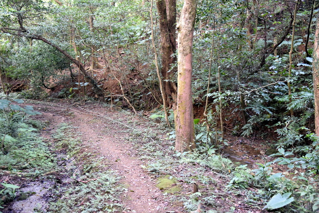 36-DSC_4275.JPG 36-DSC_4275.JPG