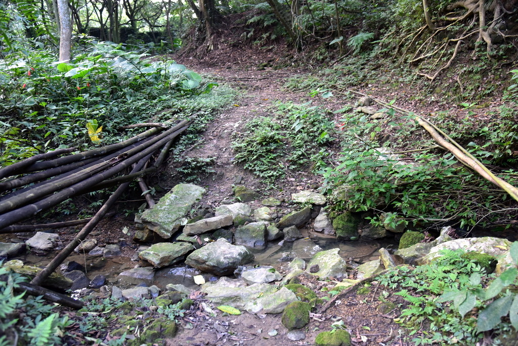 37-DSC_4276.JPG 37-DSC_4276.JPG