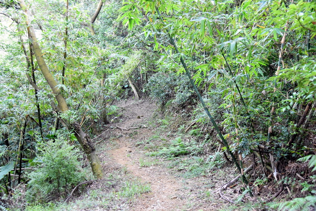 34-DSC_4268.JPG 34-DSC_4268.JPG