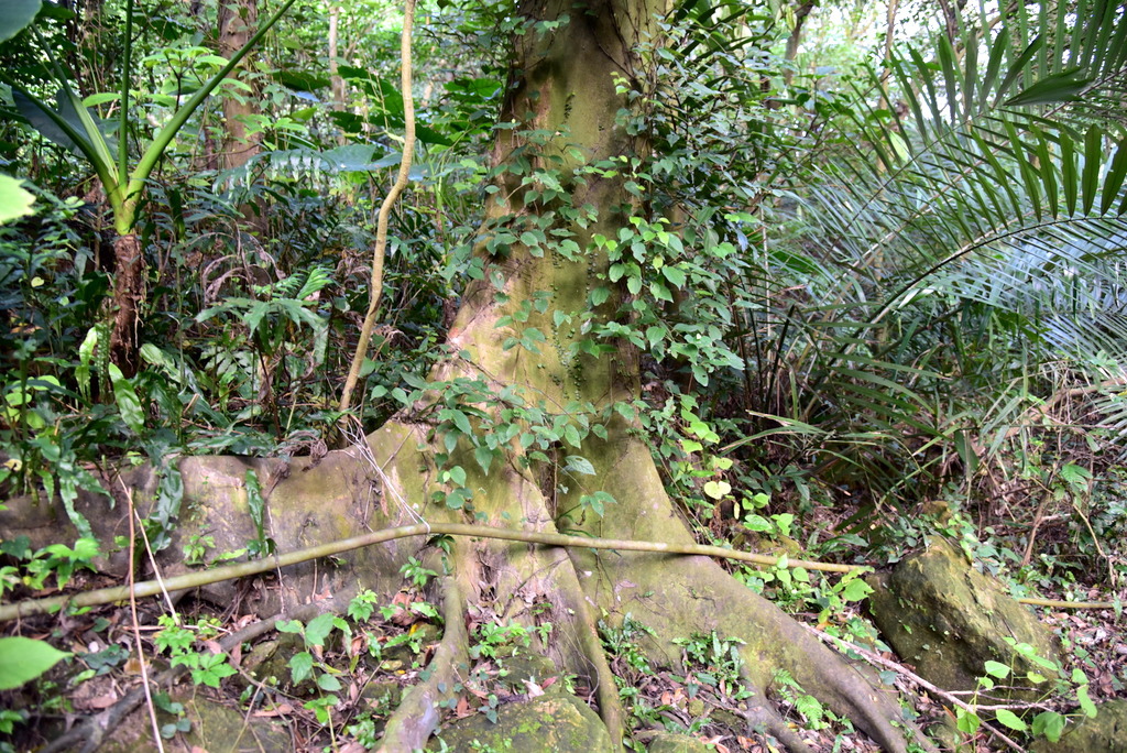 40-DSC_4281.JPG 40-DSC_4281.JPG