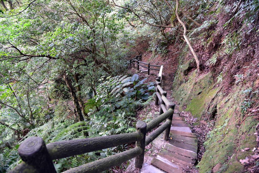 43-DSC_4284.JPG 43-DSC_4284.JPG