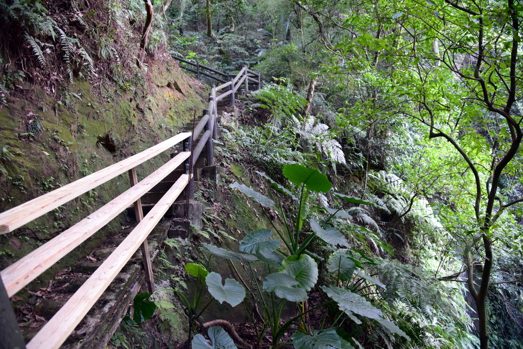 44-DSC_4285.JPG 44-DSC_4285.JPG