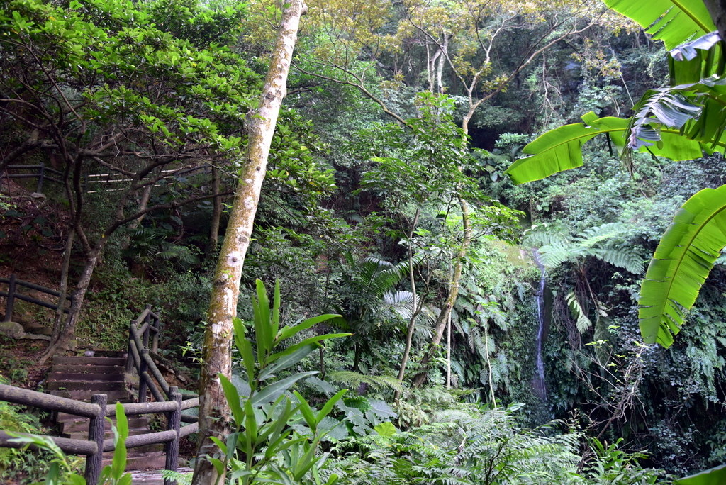 47-DSC_4288.JPG 47-DSC_4288.JPG