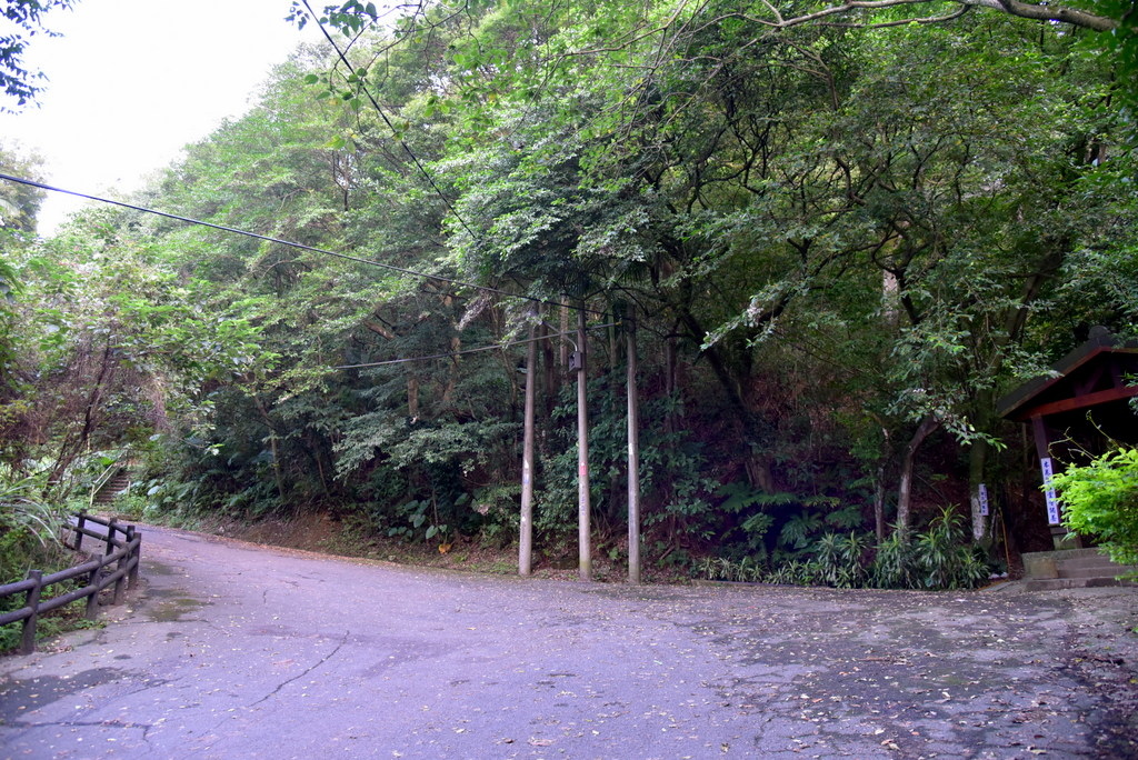 50-DSC_4292.JPG 50-DSC_4292.JPG