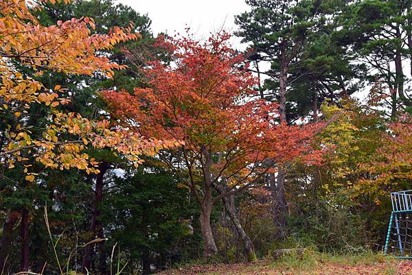 088-DSC_5992.JPG
